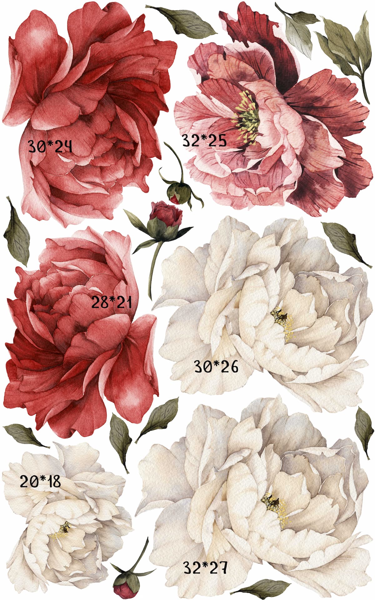 product-image-1212