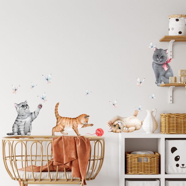 product-image-1614