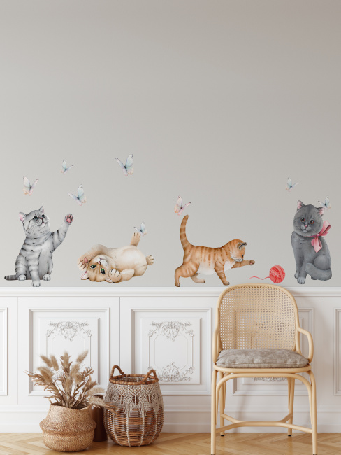 product-image-1620