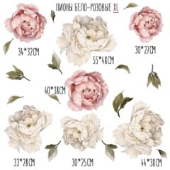 пионы с размером