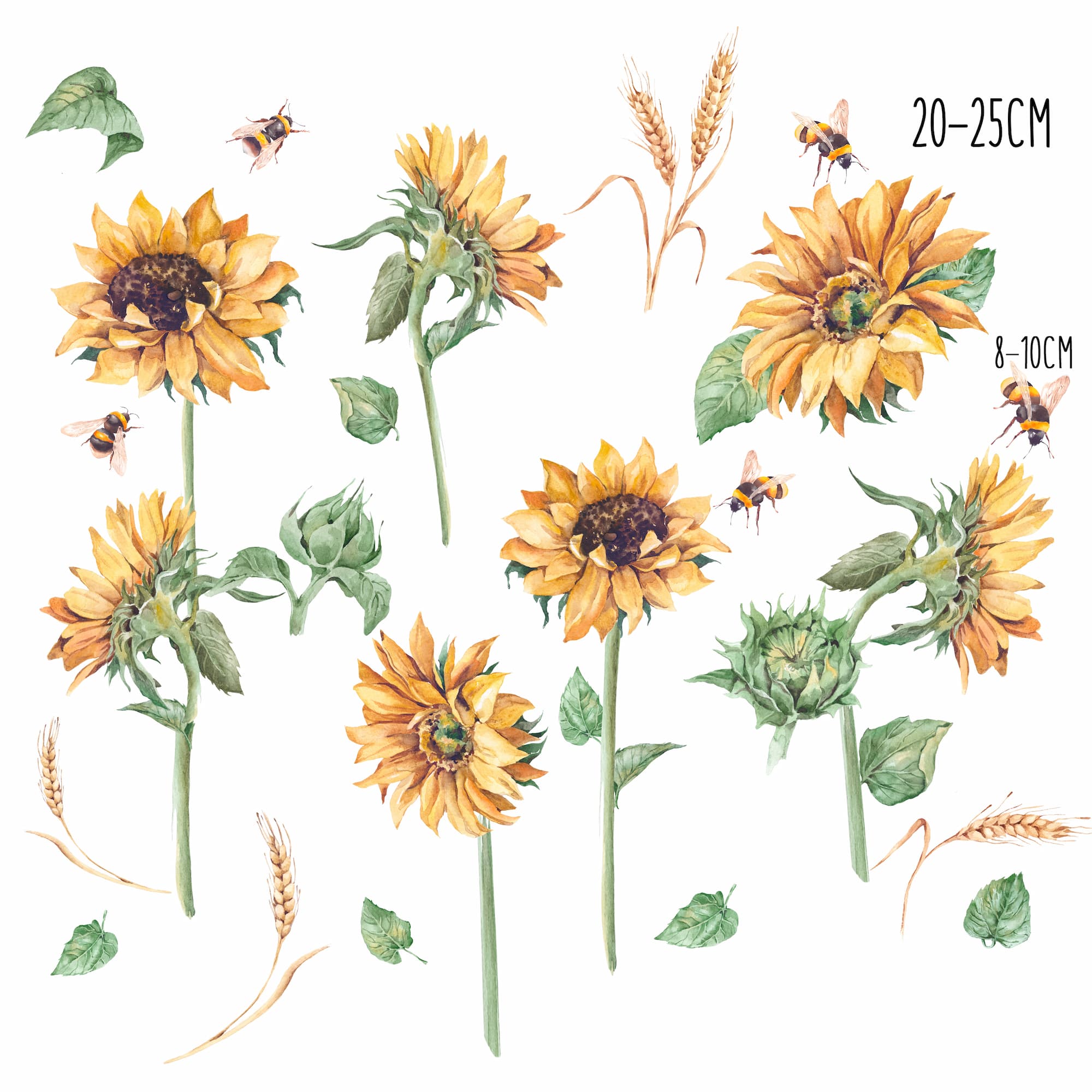 product-image-2080