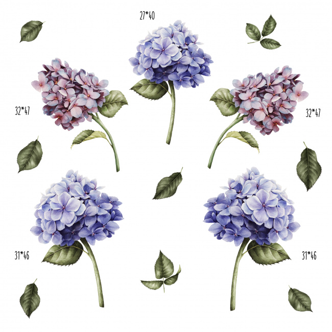 product-image-2596