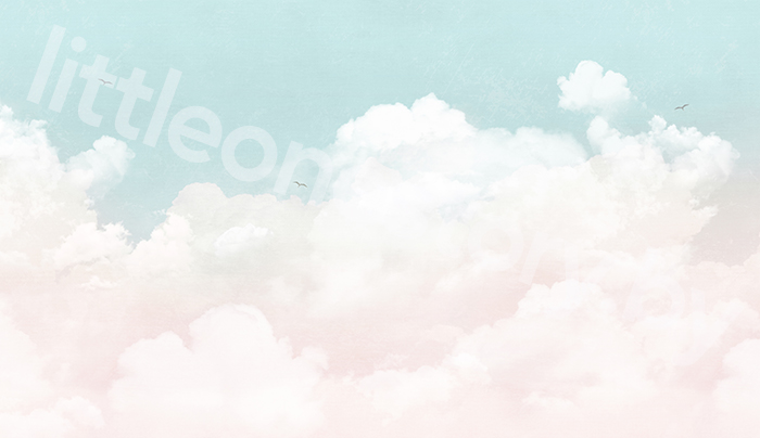 product-image-2901