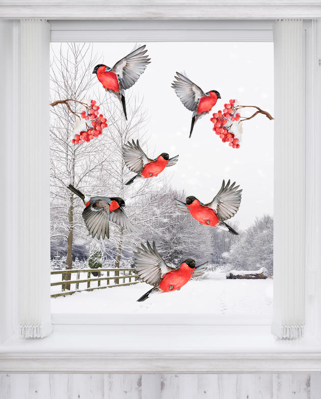 product-image-3687