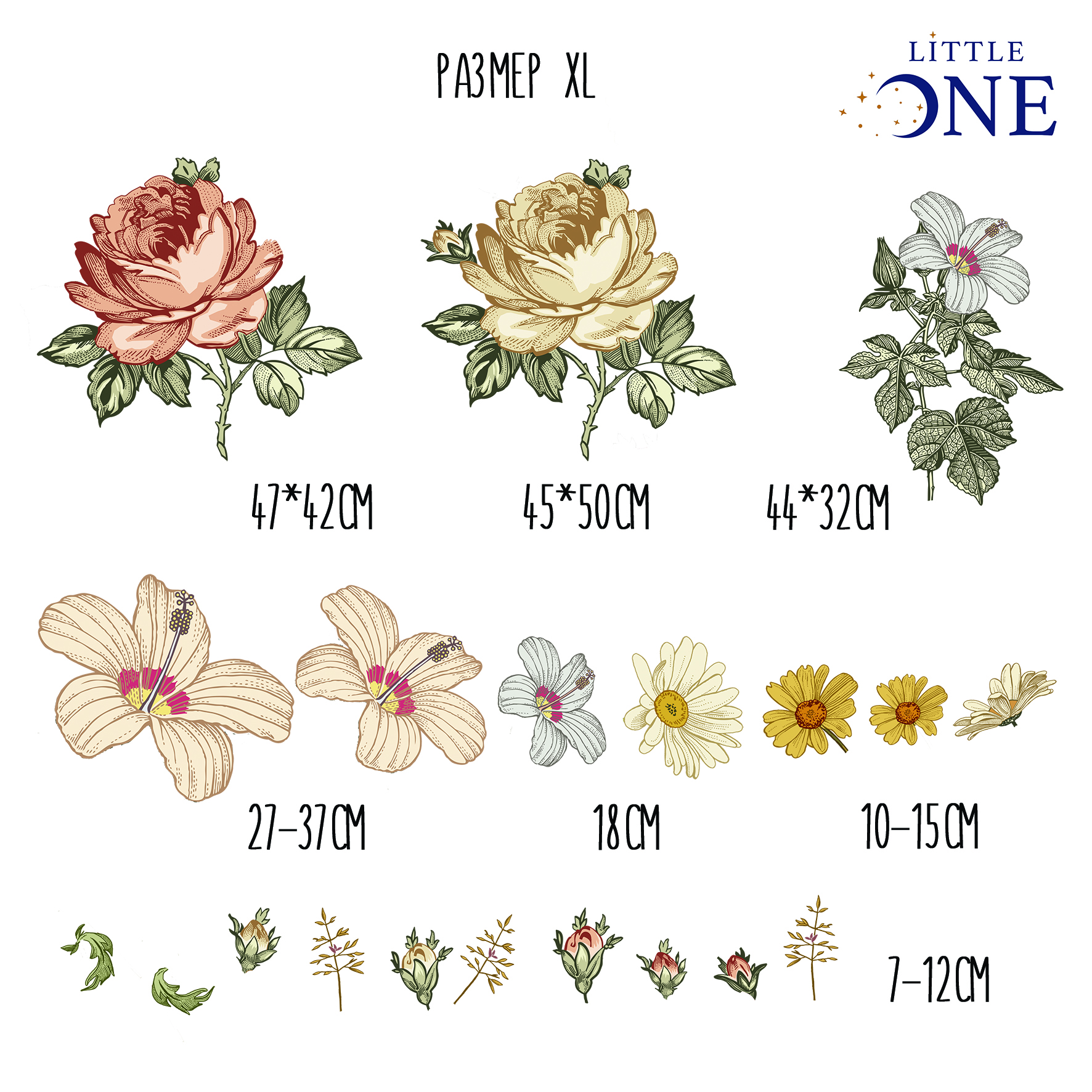 product-image-3953