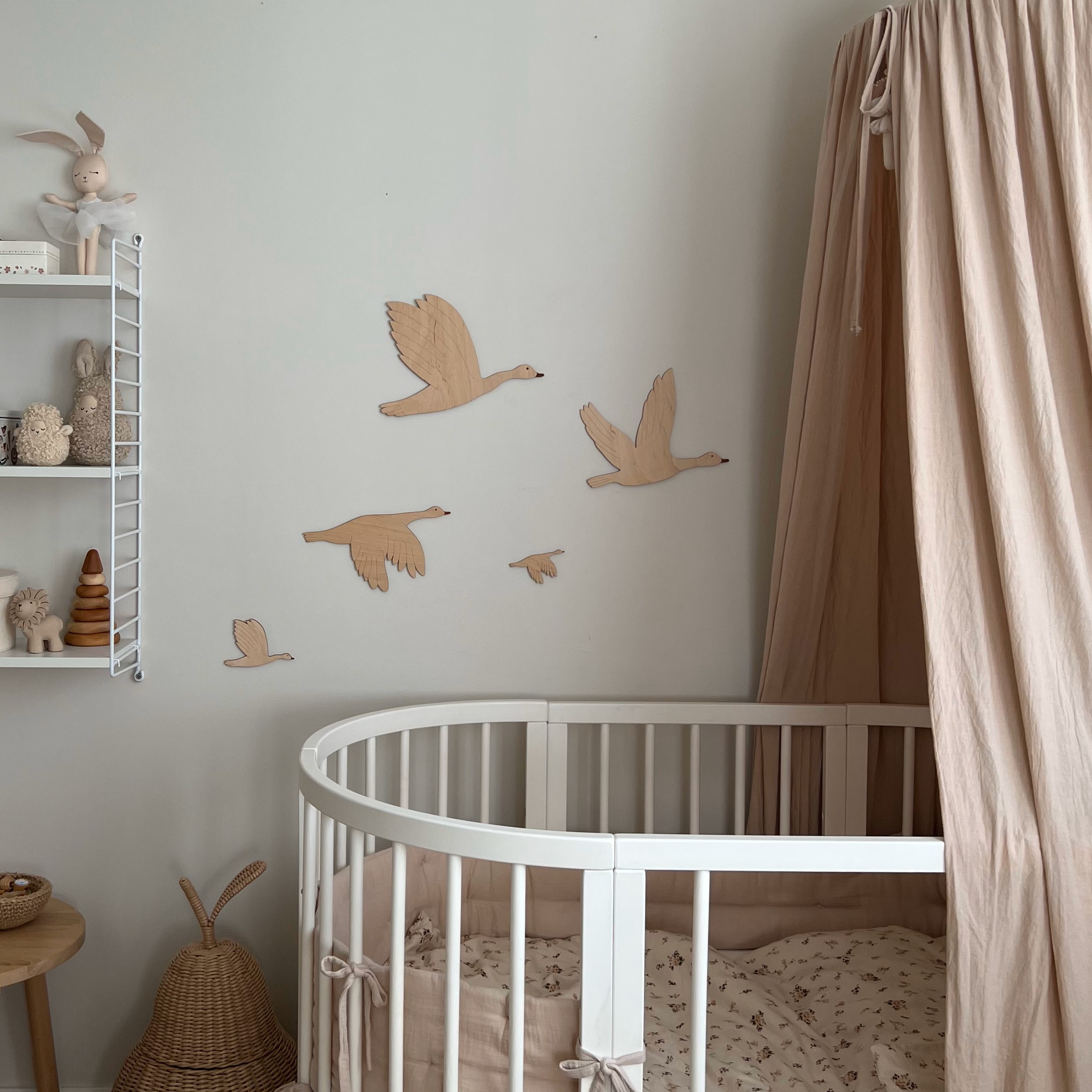 product-image-4836