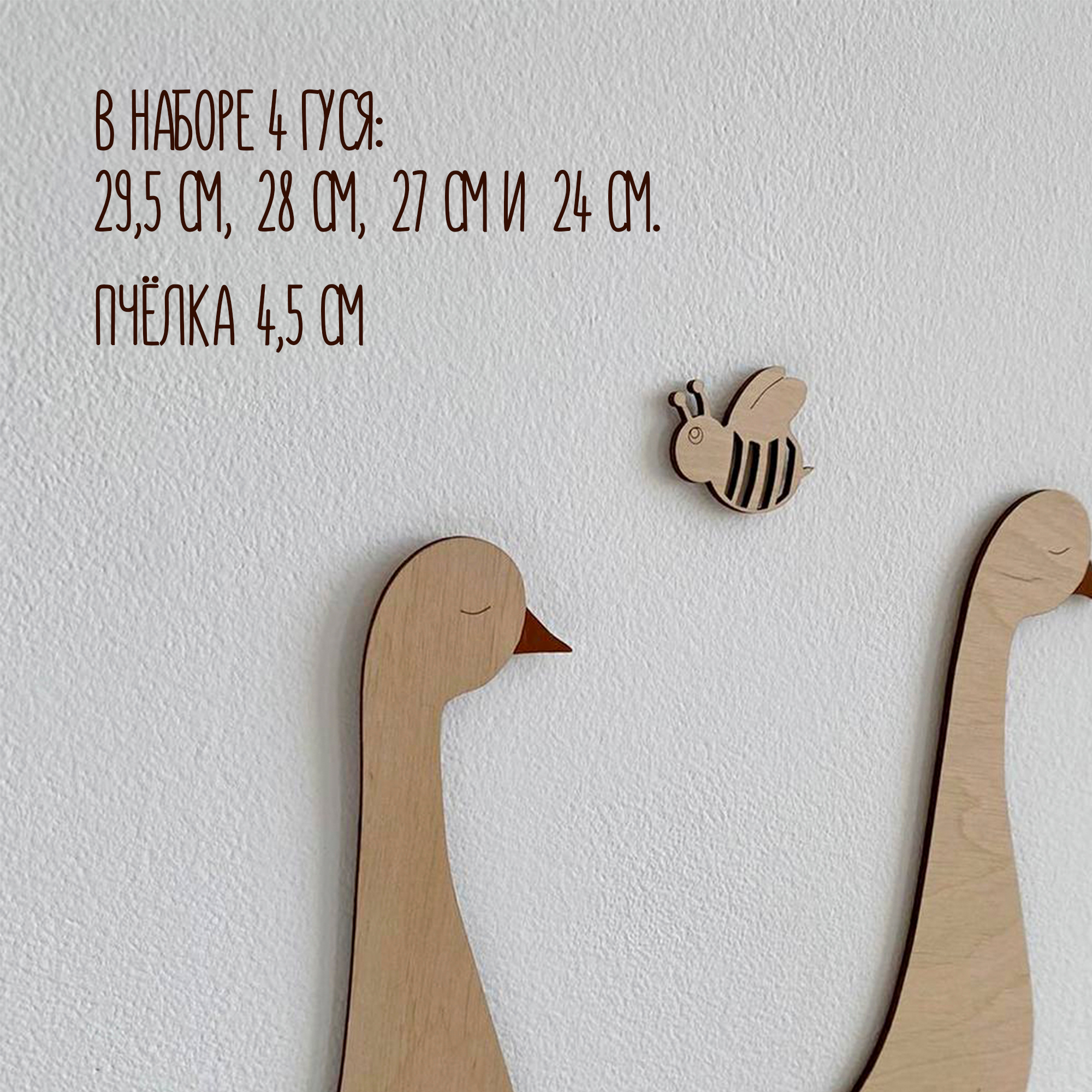 product-image-5017